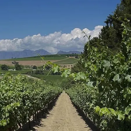 Clos Malverne Wine Estate-2