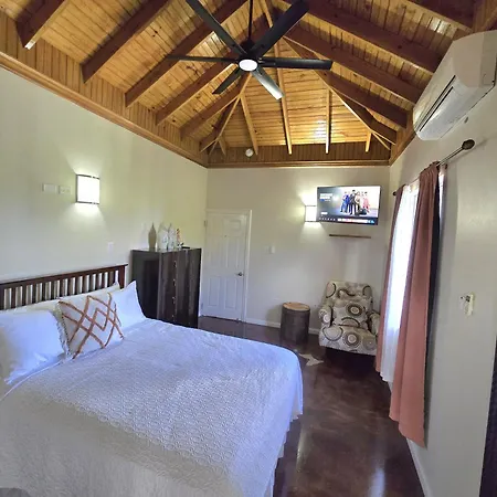 Blue Paloma Bed & Breakfast-3