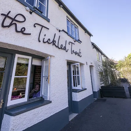 The Tickled Trout-3