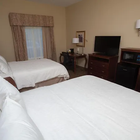 Hampton Inn Oneonta-3