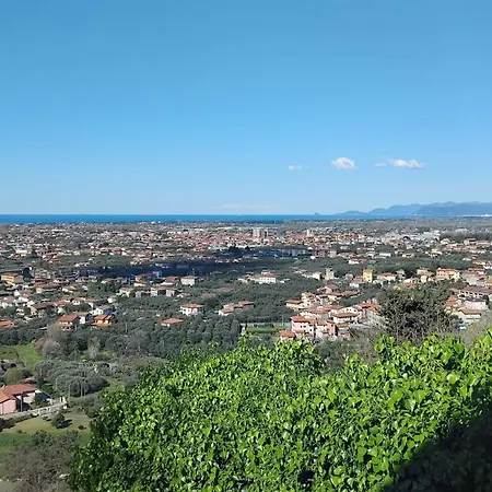 Belvedere 10-2