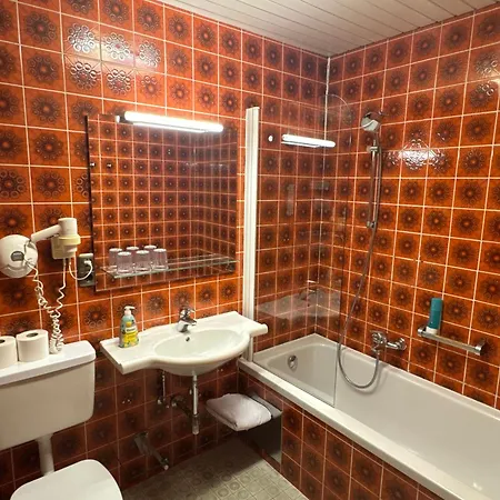 Hotel Goldener Loewe-3