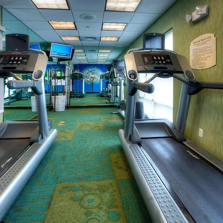 Springhill Suites By Marriott - Tampa Brandon-3