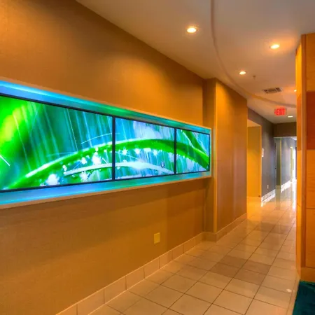 Springhill Suites By Marriott - Tampa Brandon-2