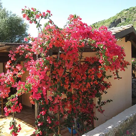 Family Resort Cala Di Luna-2