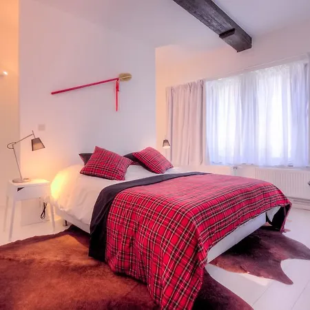 Mons Dragon House-2