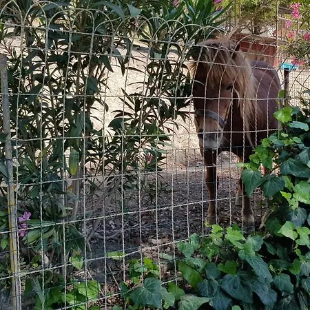 B&B - Affittacamere da Pietro - Enna-3