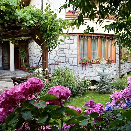 Lina Hotel-3