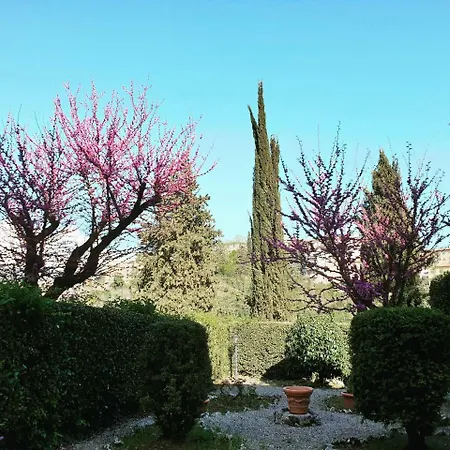 Villa Zara-2