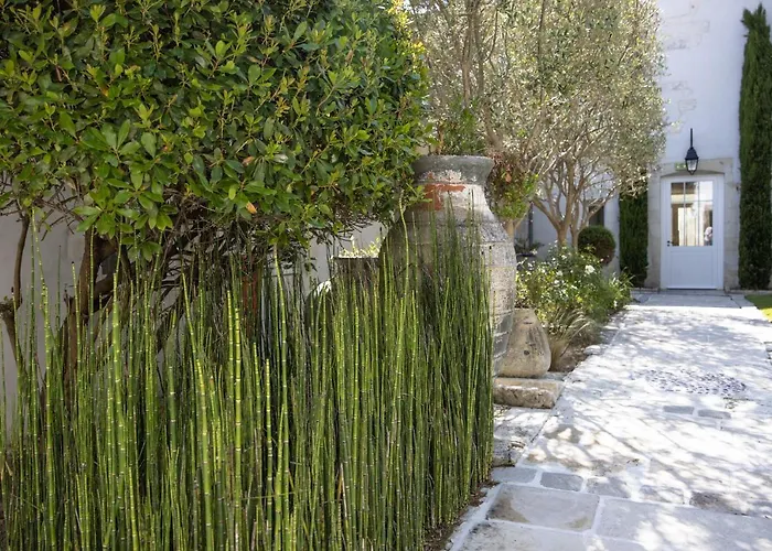Villa Clarisse & Spa By Olivier Claire Saint-Martin-de-Re