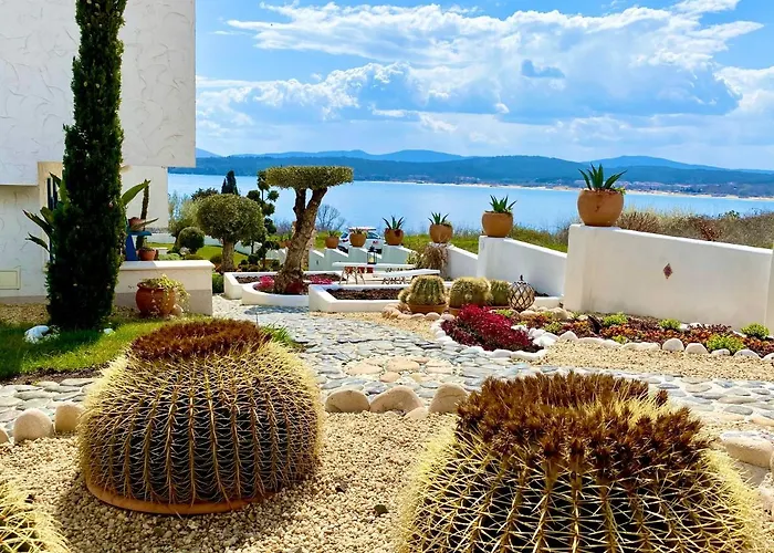 Casa de oro Alma
