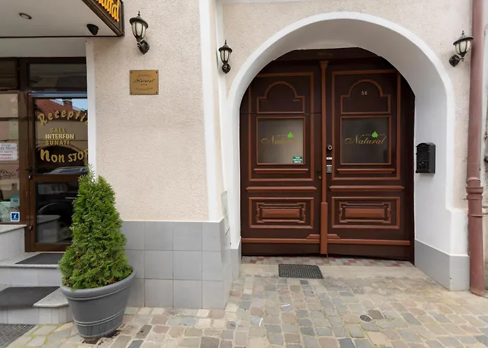 Hotel Pensiune Natural Brașov