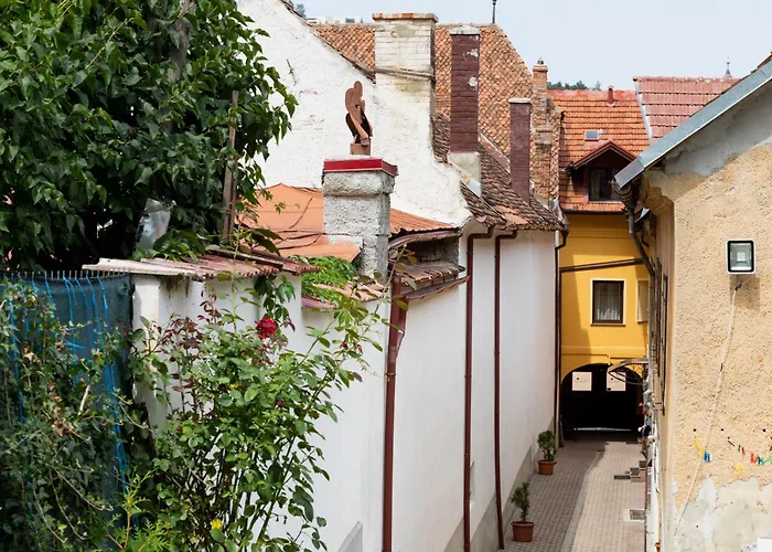 Hotel Pensiune Natural Brașov