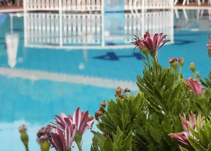Hotel Petros Tsilivi 