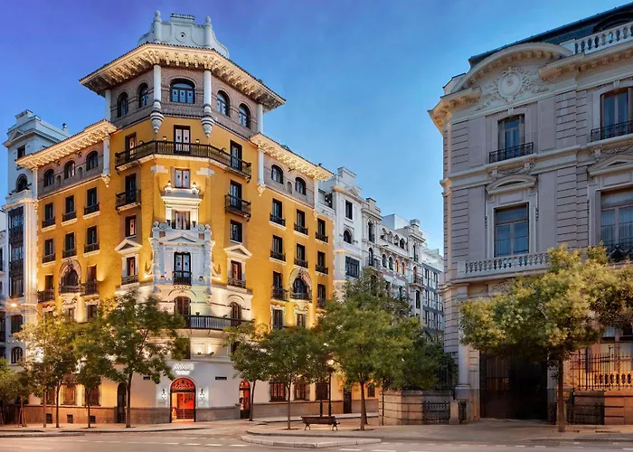 Avani Alonso Martinez Madrid