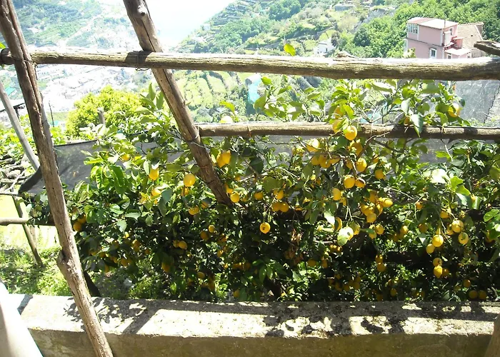 Bed and Breakfast Il Rifugio del Poeta Ravello