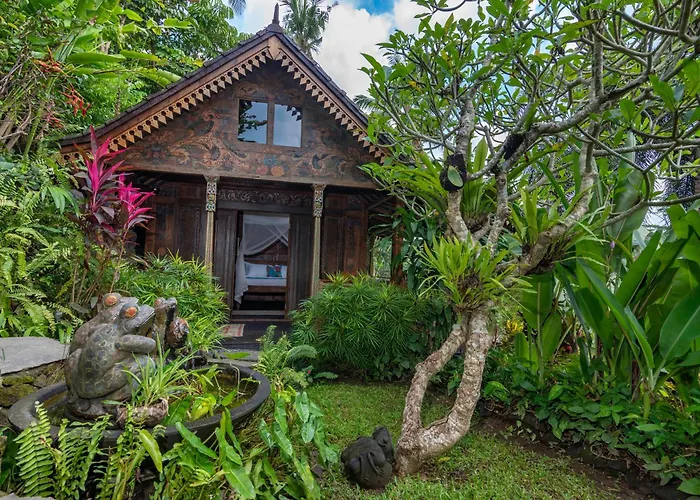 Lumina Wellness Sanctuary Ubud