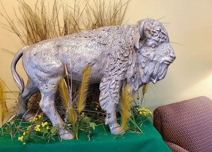 Bison Plains Lodge Moorhead