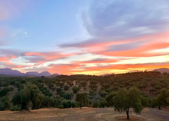 Hotel Hacienda el Tarajal Priego de Córdoba