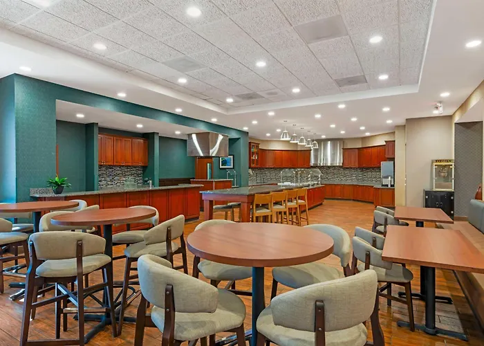 Drury Plaza Hotel St Louis Brentwood