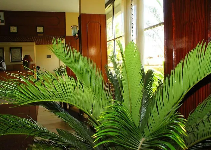Kivi Milimani Hotel Nairobi